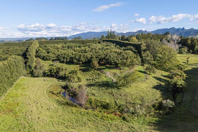 222 Wharawhara Road Katikati_4