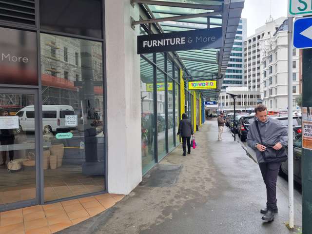 1/9 Stout Street Wellington Central_2