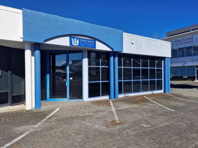 219 Collingwood Street Hamilton Central_2