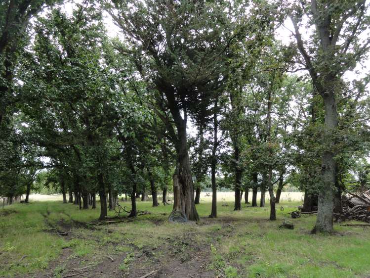 352 Horsley Down Road Hawarden_23