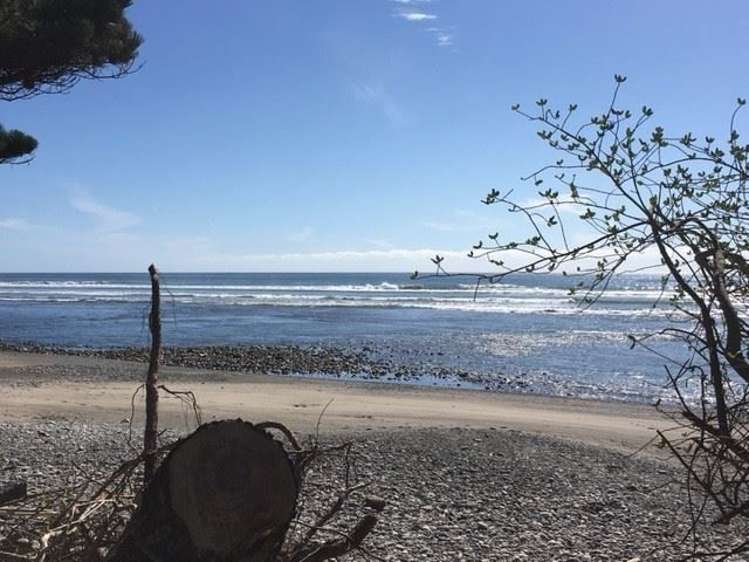 19 Corbett Street Hector_6