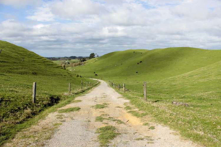 187 Katavich Road Awanui_18