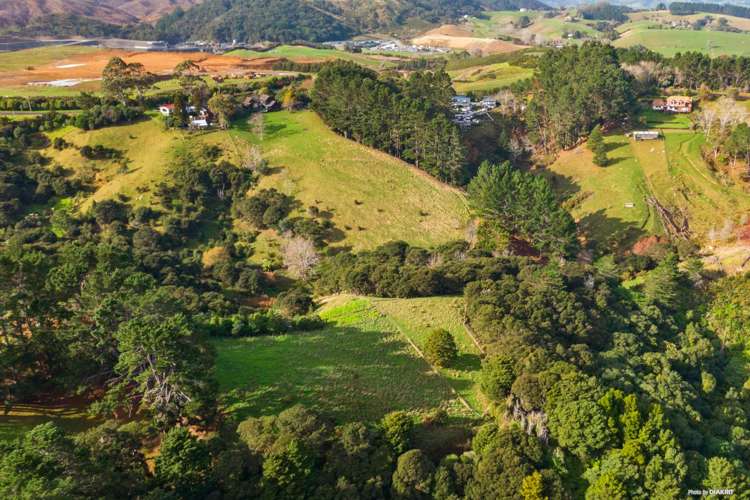 212 Ara-Kotinga Whitford_36