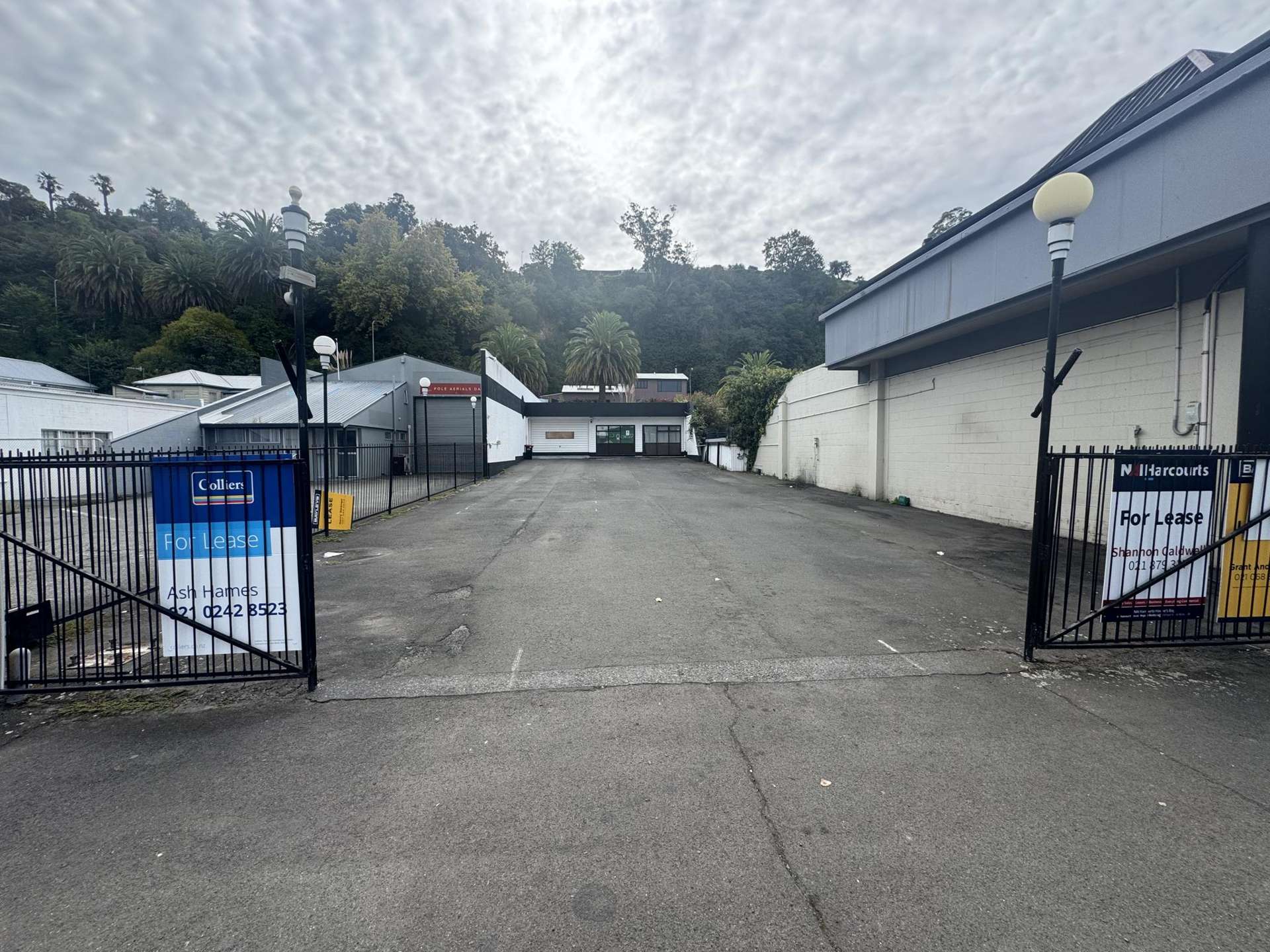 23 Carlyle Street Napier South_0