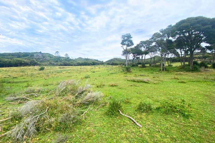 Lot 3/161 Wharariki Road Puponga_15