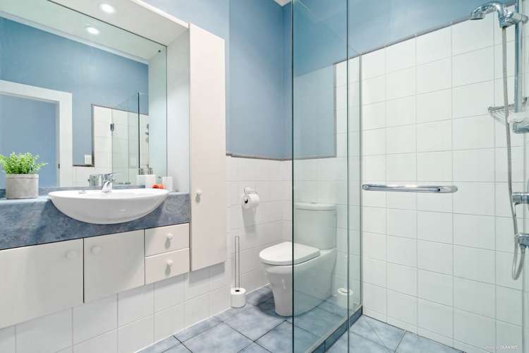 18b Adam Street Greenlane_15