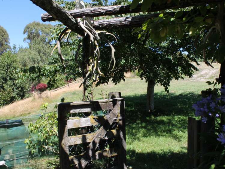 12 Glen Mohr Acacia Bay_11