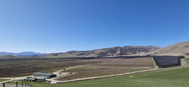 159 Thomson Gorge Road Cromwell_2