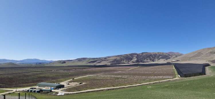 159 Thomson Gorge Road Cromwell_2