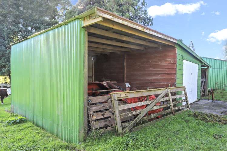 83a Odey Road Whakamarama_12