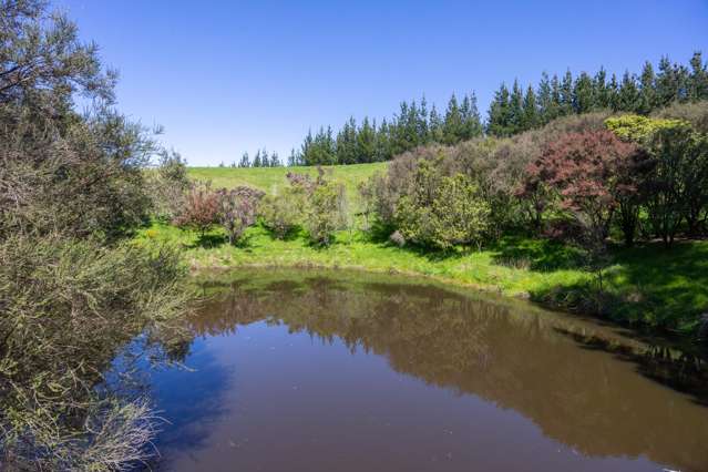 22 Halcombe Road Feilding_3