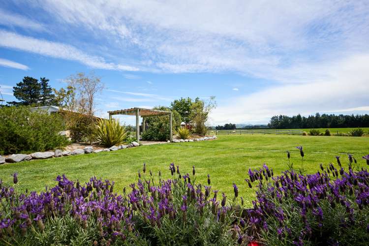 205 Homeview Road Cheviot_1