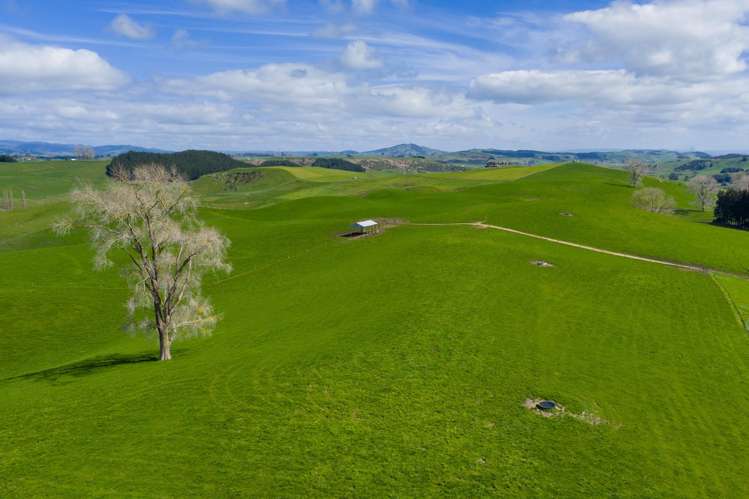 578 Waimanu Road Wharepapa South_13