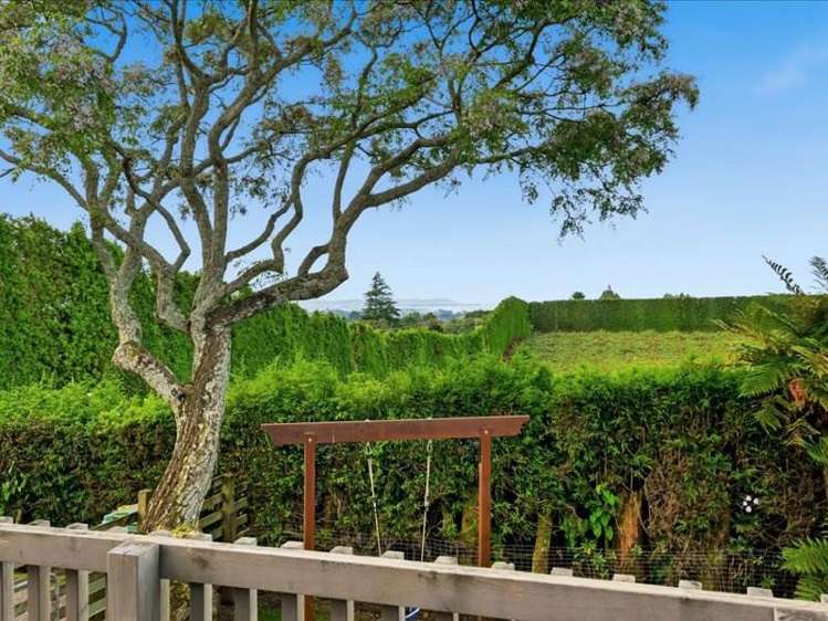 395 Youngson Road Whakamarama_3