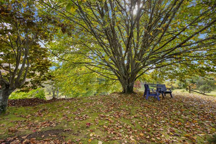 71 Golf Road Taumarunui_20