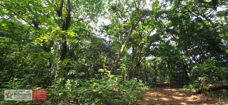 Address withheld Savusavu_23