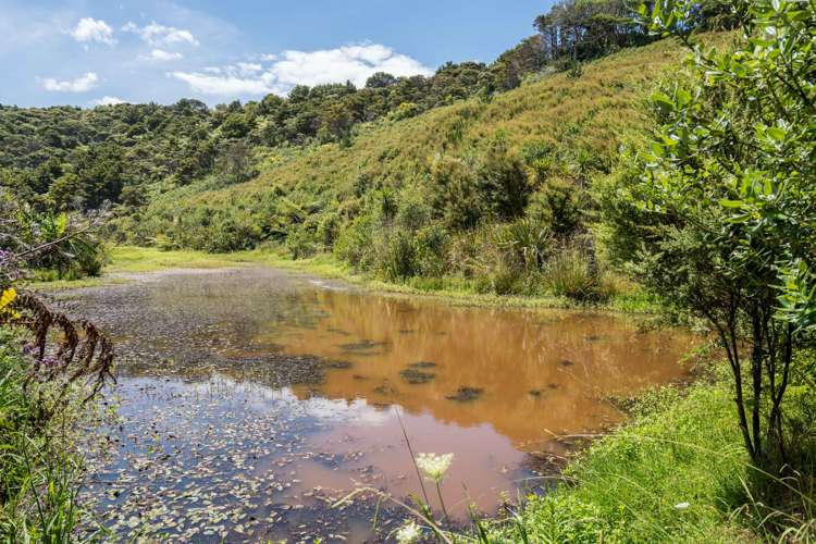 64 Onekainga Rise (Pvt) Whananaki_23