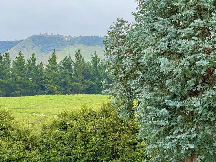 104 Mill Road Waimate_16