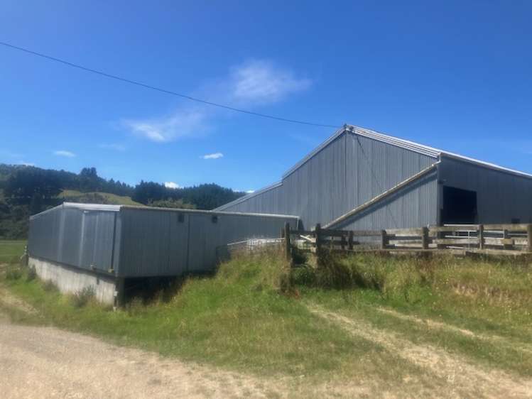 25 Mangamaire Road Dannevirke_12