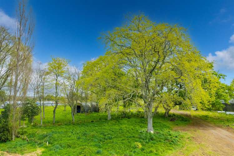 Morrinsville Road, SH26 Newstead_7