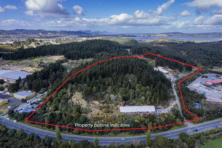 169 Kioreroa Road Whangarei_1