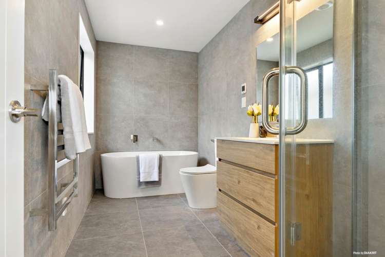 88b Canal Road Avondale_13