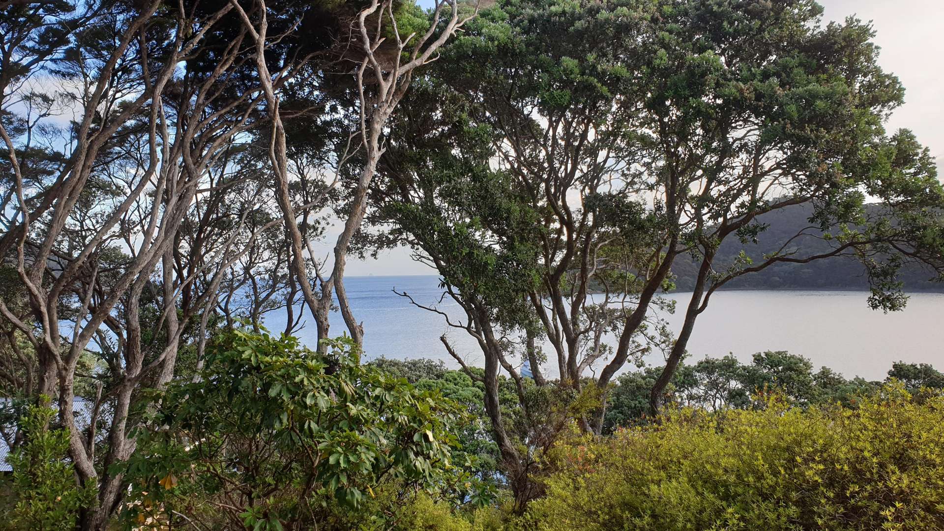 781 Whangaparapara Road Great Barrier Island (Aotea Island)_0