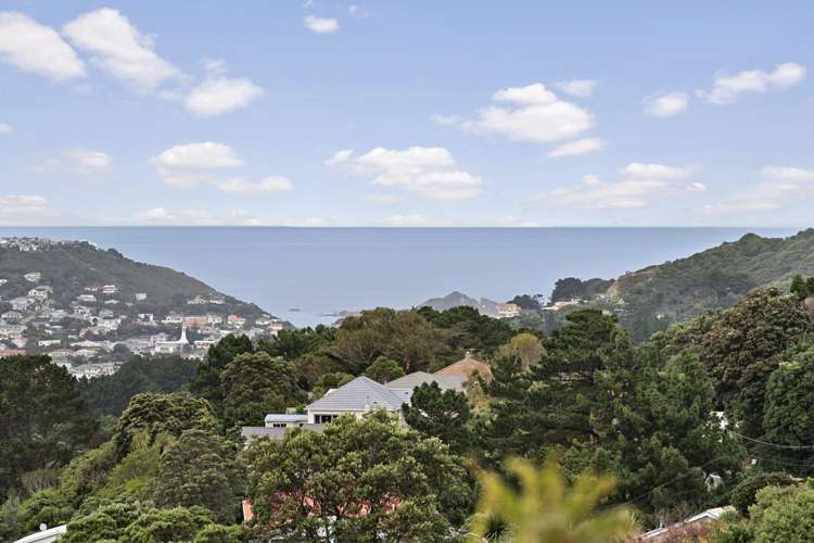 41 Mana Street Vogeltown_5