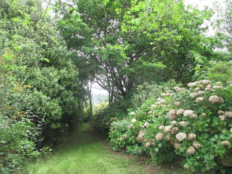 913 Tahakopa Valley Road Catlins Surrounds_13