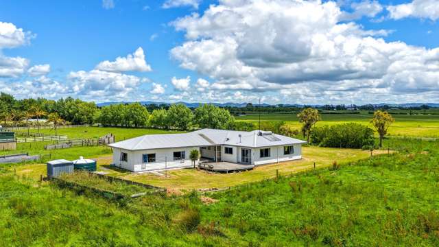 54 Arawa Street Pipiroa_1