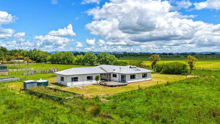 54 Arawa Street Pipiroa_1