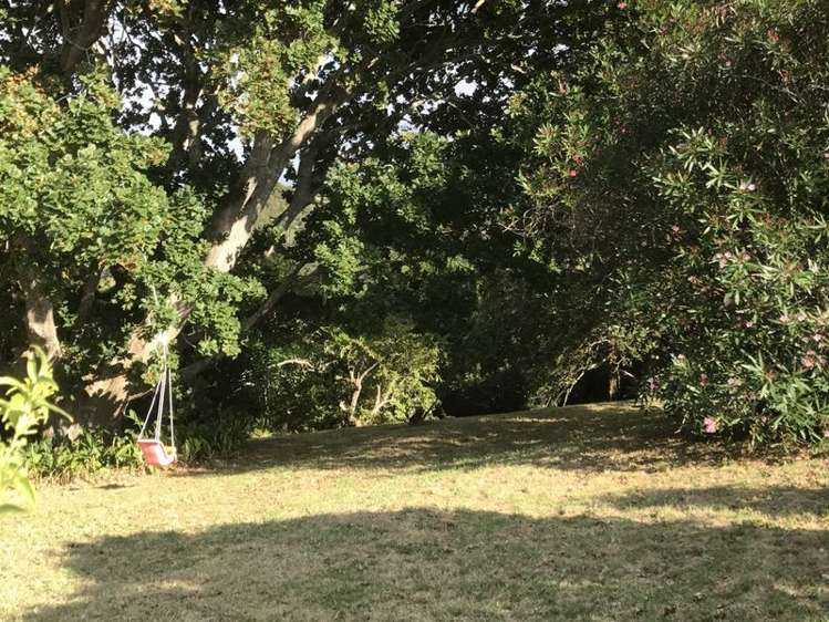 27 Scott Road Tamaterau_4