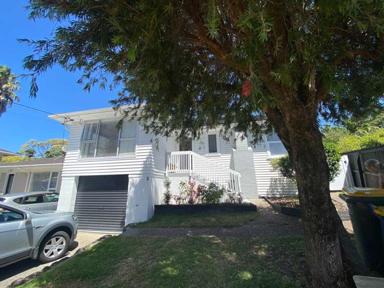 3/119 Nile Road Milford_1