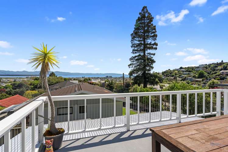 24 Greenhill Road Wakatu_15