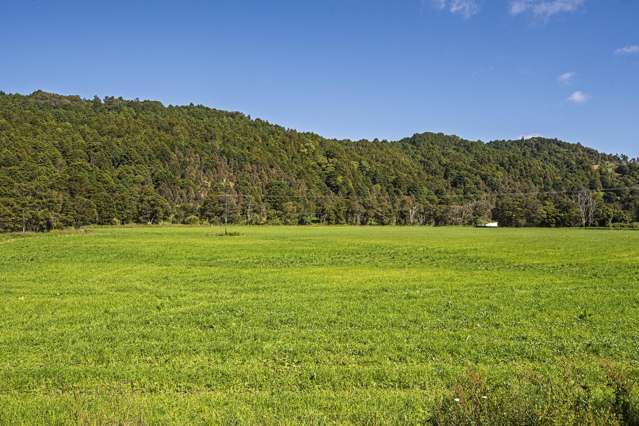 Incredible buying 28 ha for $375,000!