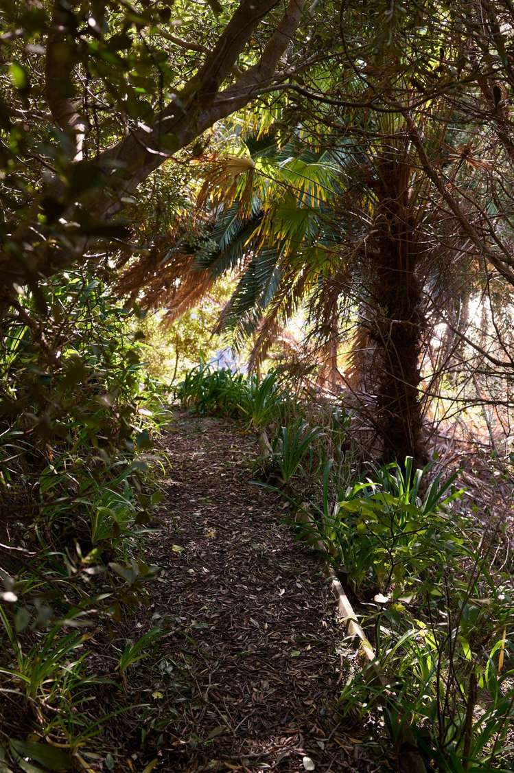 34 Guthrie Crescent Castlepoint_25