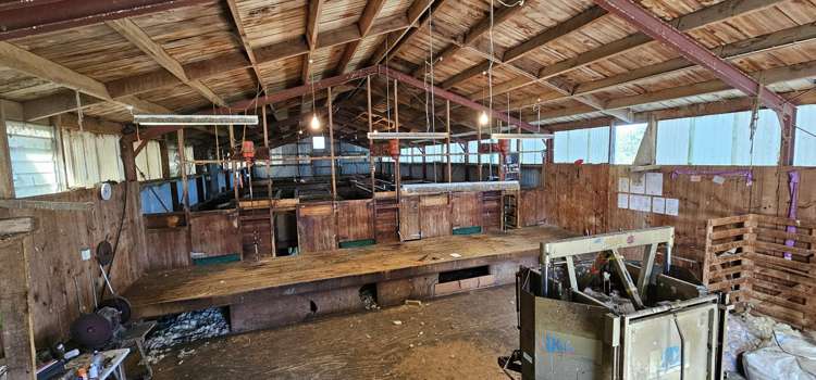 169 Charters Road Waikoikoi_16