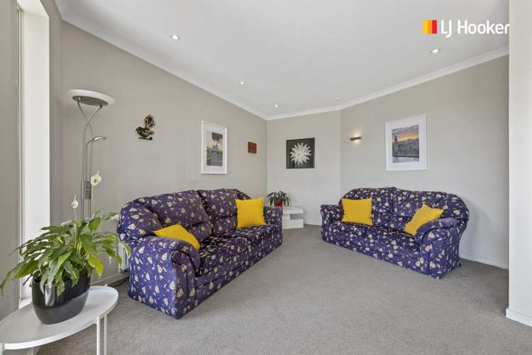 815 Mount Cargill Road Mount Cargill_12