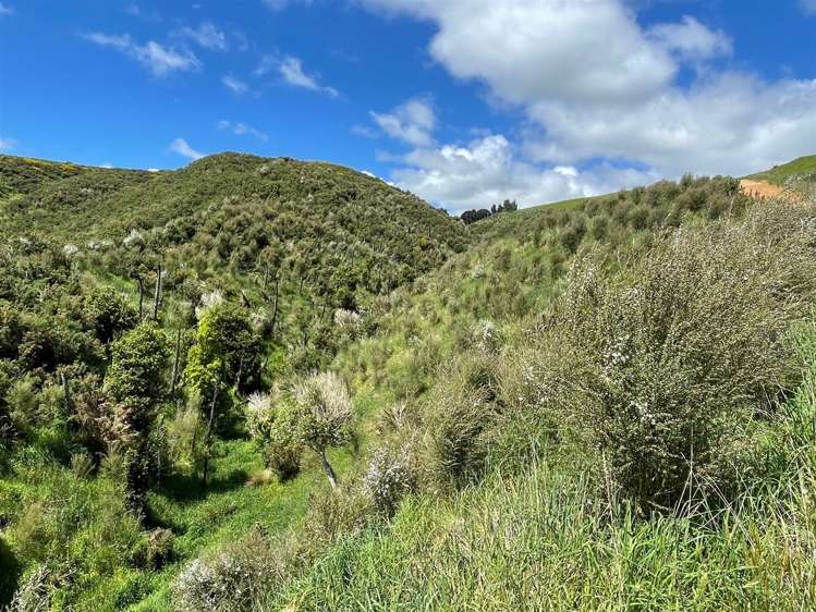 67 Okoko Road Otorohanga_10