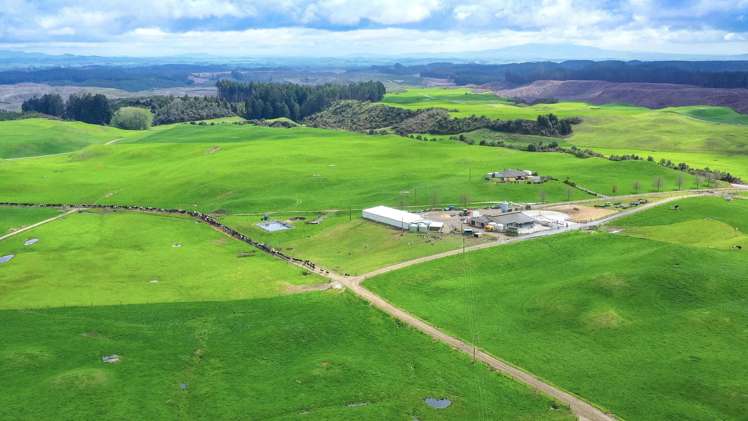 902 Galaxy Road Tokoroa_11