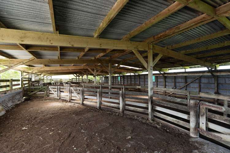 282 Girls High School Road Whangarei_27