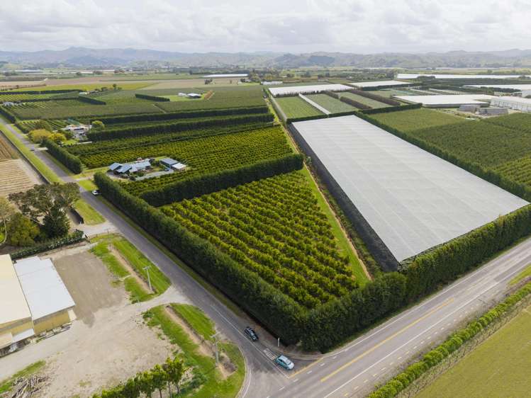 18 Jackson Road Waerengaahika_49