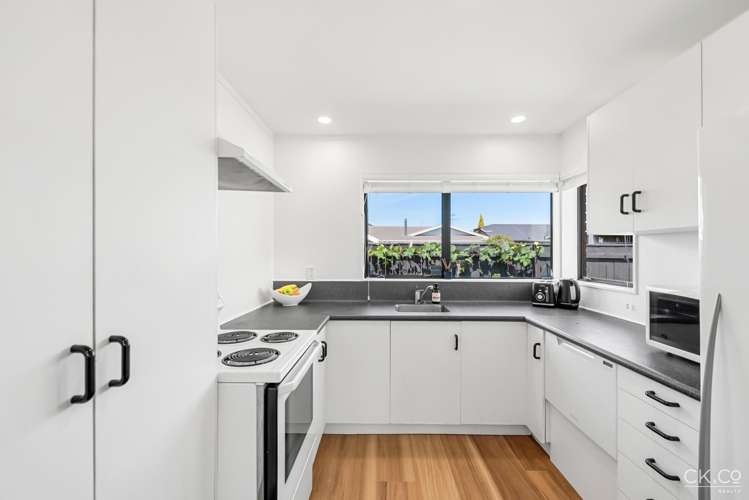 13a Fairfield Avenue Fairfield_6