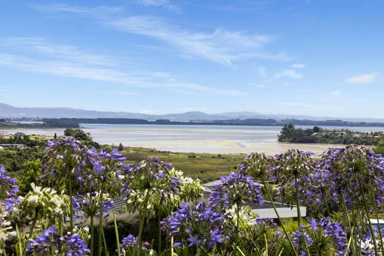 70 The Drive Brookfield_1