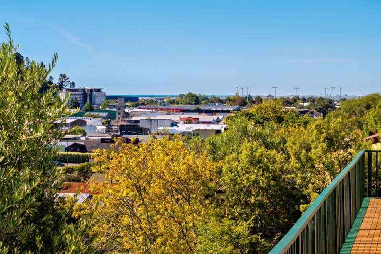 39 Konini Street Nelson South_29