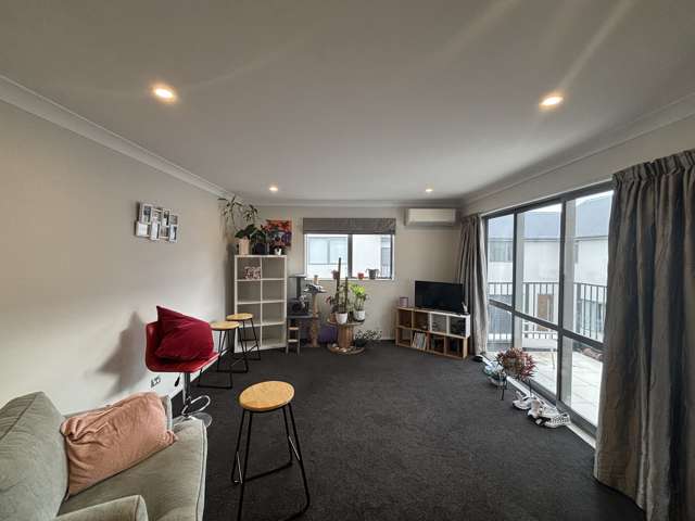 41b Huxley Street Sydenham_2