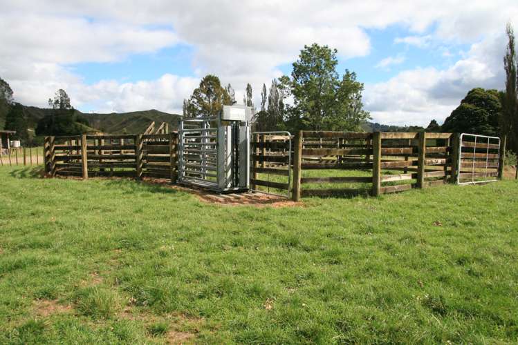 1110 Mangaehu Road Pohokura and Surrounds_7