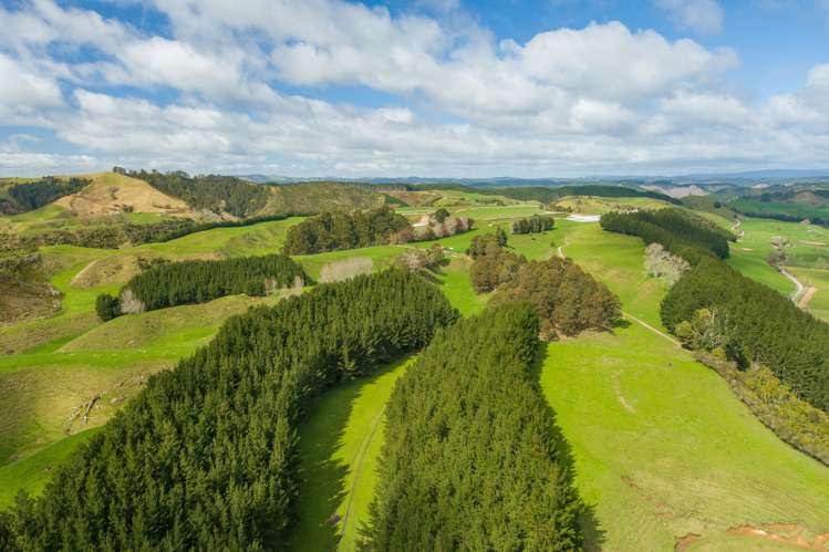 461 Otamarakau Valley Road Pukehina_22