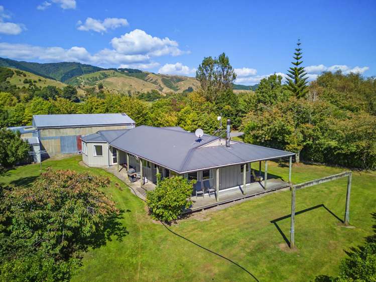63 South Manakau Road_5