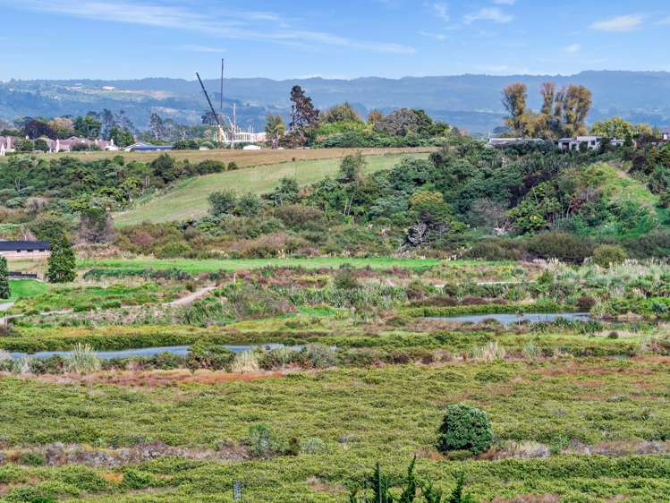 85 Anne Road Bellevue_20